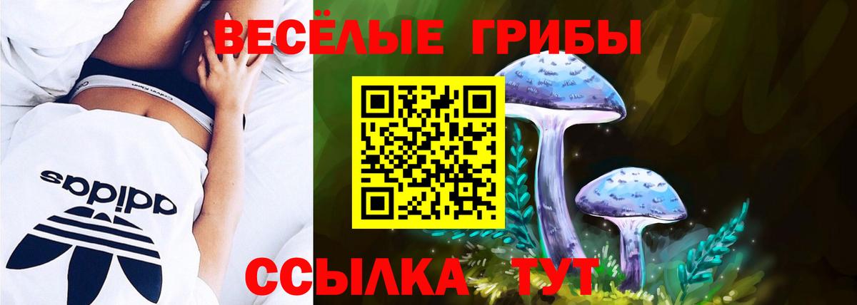 закладки  Вход с VPN  Галлюциногенные грибы Cubensis  Гудермес  Псилоцибиновые грибы Cubensis 