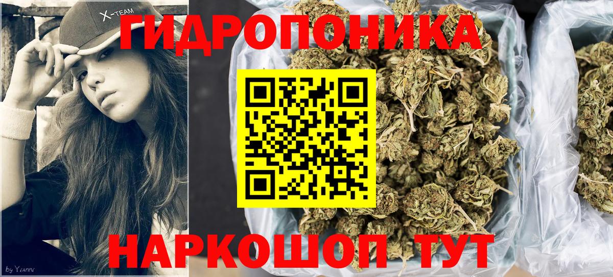 Конопля Bruce Banner  Канабис тримм  Вход с VPN  Гудермес  Марихуана тримм 